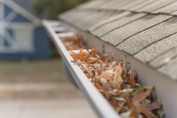 Leaf Barrier Installation in Kernersville