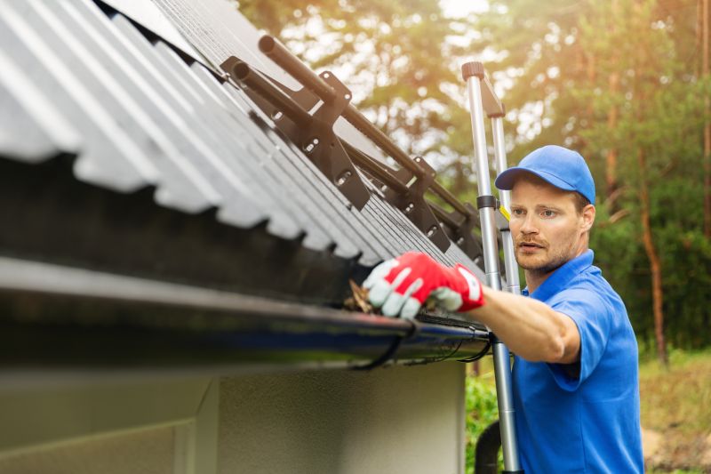 Professional Gutter Service Team