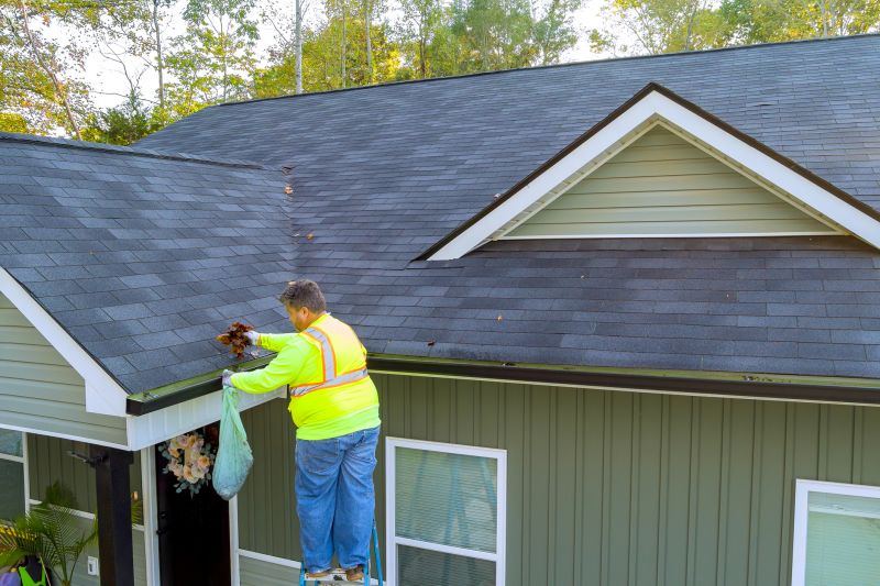 Local Gutter Maintenance Services